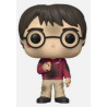 Funko Pop! Harry Potter 132